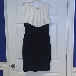 Beautiful Calvin Klein Dress NWT